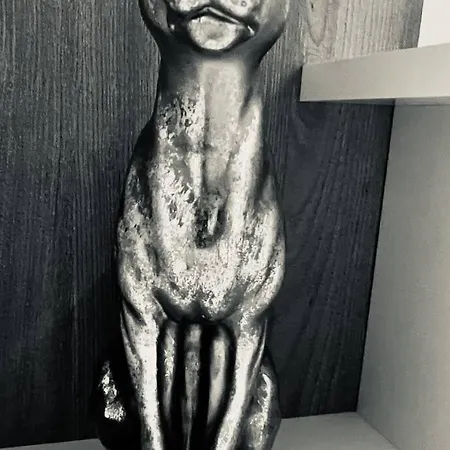 Oespede Lara De Bergantinos-costa Da Morte