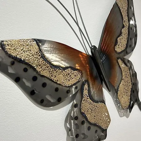 Oespede Lara De Bergantinos-costa Da Morte 马尔皮卡