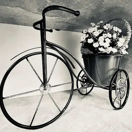 Oespede Lara De Bergantinos-costa Da Morte 公寓