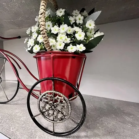 公寓 Oespede Lara De Bergantinos-costa Da Morte 马尔皮卡